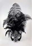 Venetian Feathered Freggio Mask